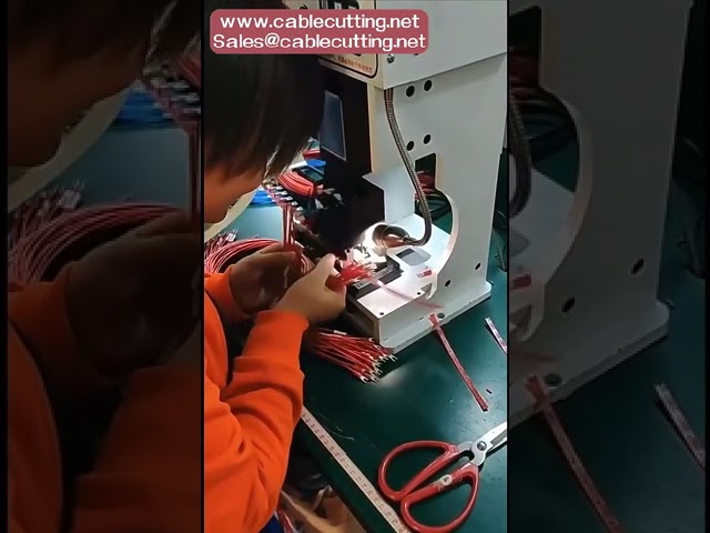 무료 샘플 제공! 청색 절연 수형 스페이드 단자, 전선 압착 커넥터