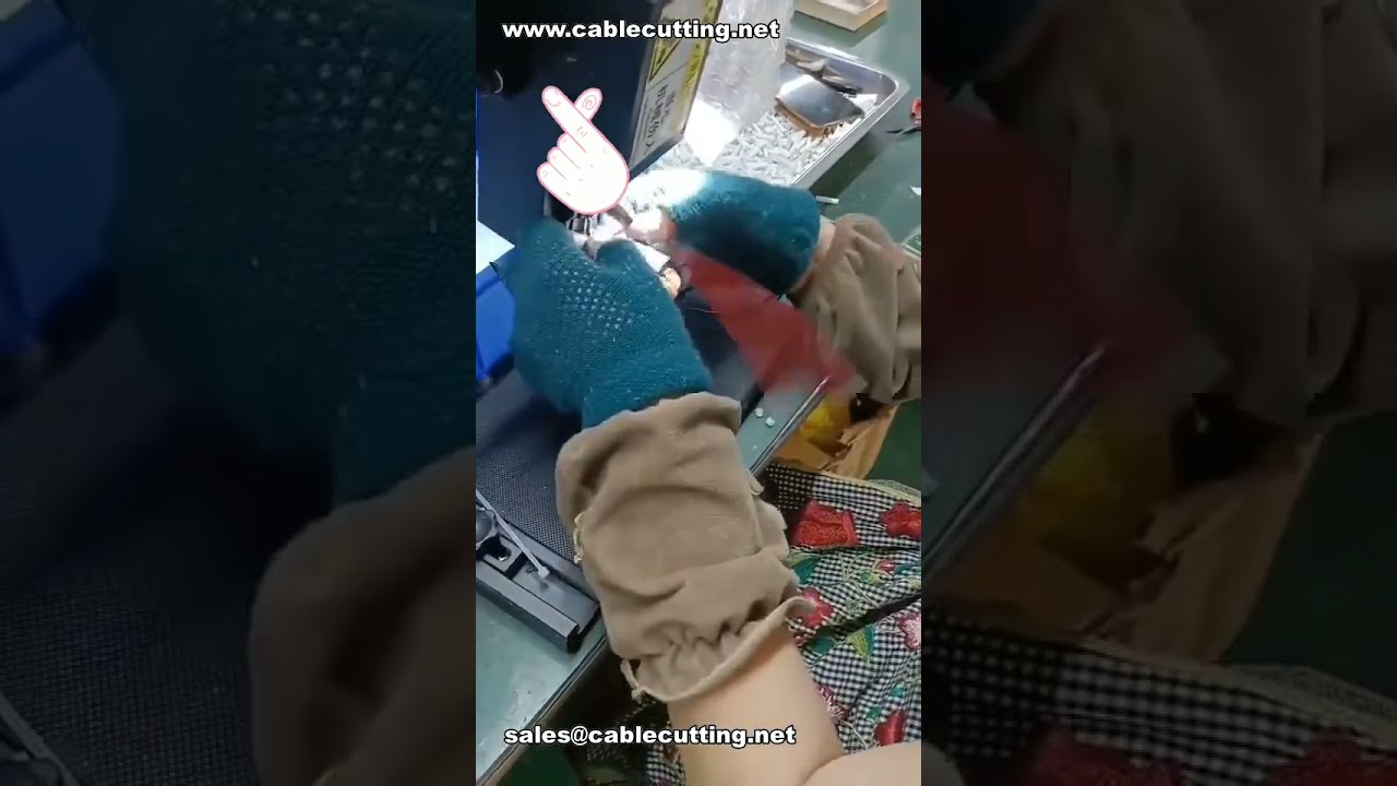 간편한 자동 케이블타이 기계 | 시간과 인력 절약 #공장자동화