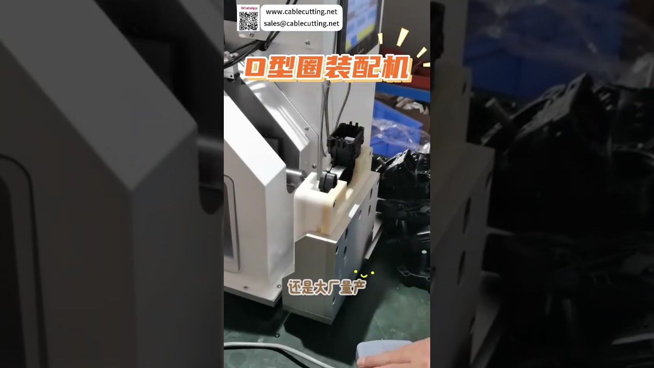 고품질 O링 조립기 | 맞춤형 자동 씰링 링 제조 장비
