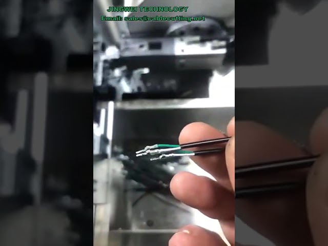 완전 자동 피복 와이어 단말 주석 도금기 | BV BVR 전자 케이블 와이어 하네스 처리