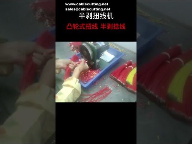 반자동 전선 피복 벗김 및 꼬임기 | 롤러 트위스터 | 공장 자동화 장비