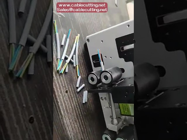 16mm² 케이블 와이어 스트리핑 머신 | 자동 전선 절단 및 피복 제거기