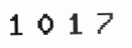 Verification Code Image